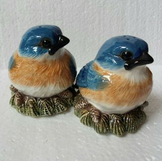 Vtg Ceramic Blue Bird Pair Salt Pepper Shaker Set Painted Bluebird Spring Figure