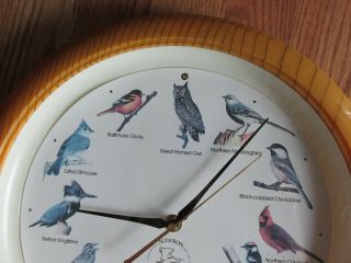 Authentic Vintage National Audubon Society 13” Singing Bird Quartz Wall Clock 5