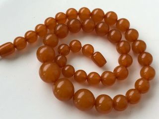 Vintage Amber Beads Butterscotch / Egg Yolk Baltic Necklace 34.  71 Gr