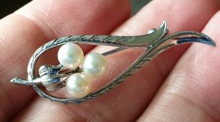 EDWARDIAN VINTAGE SIGNED JEWELLERY REAL PEARL SOLID SILVER BROOCH PIN 4