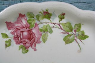 Vintage Homer Laughlin Small Serving Platter/Plate The Angelus Rose Pattern 3