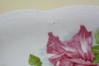 Vintage Homer Laughlin Small Serving Platter/Plate The Angelus Rose Pattern 4