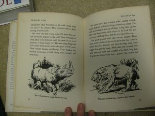 All About the Ice Age: With Maps,  Drawings & 12 Pgs of Photos (1959,  Hardcover) 4