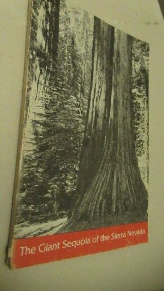 Giant Sequoia Tree Of The Sierra Nevada Us Dept Of Interior 1975,  Ills
