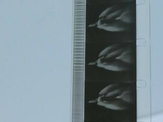 Orig 16mm NASA SATURN Rocket Launch Film Short b&w w/Sound 3