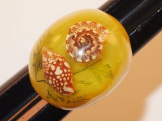 Vintage Yellow & Clear Lucite W/ Sea Shells Inside The Dome Top Ring Size 7
