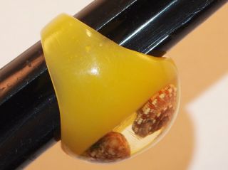 VINTAGE YELLOW & CLEAR LUCITE W/ SEA SHELLS INSIDE THE DOME TOP RING SIZE 7 3