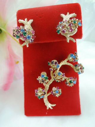 Gorgeous Vintage Gold Plated Multi - Color Rhinestone Tree Of Life Brooch Earrings