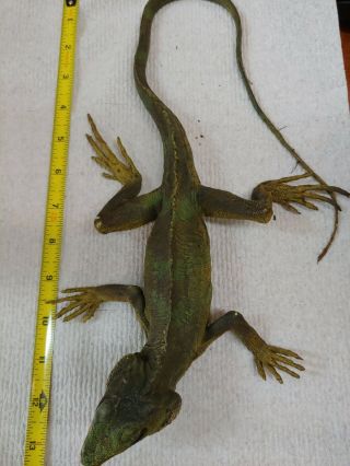 Vintage Plastic Lizard Iguana