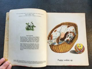 Vintage 1948 Our Puppy Little Golden Book 