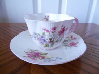 Vintage Shelley Dainty Floral Teacup/saucer " Stocks " 13428 - Retired