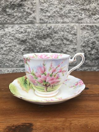 Vintage Royal Albert Bone China Tea And Saucer - Spring Time