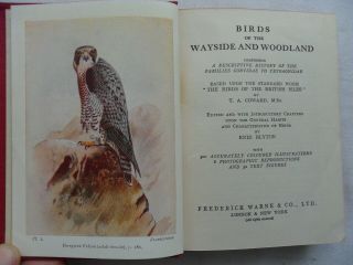 Birds Of The Wayside And Woodland - T.  A Coward - edited by Enid Blyton 1948 H/B 3