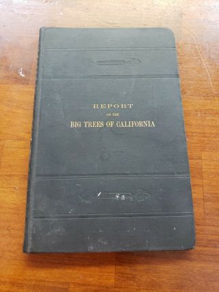 Report On The Big Trees Of California With Maps 1900 Usda Book