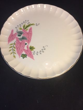 4 Vintage China W.  S.  George Pink Caladiums 10 1/2 " Dinner Plates Gold Trim 259