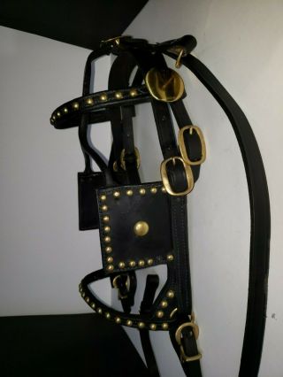 Vintage Driving Harness Blinker Bridle With Check Strap Fancy Brass Studs