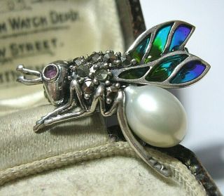 Vintage Art Nouveau Style Sterling Silver Plique A Jour Enamel Insect Pin Brooch