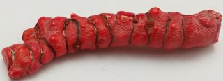 Vintage Branch Of Red Coral 120.  5 Grams Over 5 Inches Long