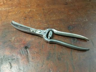 Vintage Due Buoi Inox Stainless Steel Poultry Kitchen Shears