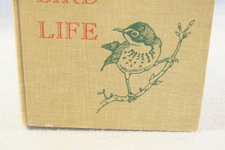 The Book of Bird Life Arthur A.  Allen Second Edition 1961: 396 Pages Vintage 3