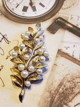 Vtg Signed Crown Trifari Faux Pearl Leaf Flower Spray Brushed Gold Brooch Pin 3