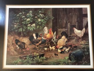 Vintage Pimpernel Rooster Hens And Chicks By H.  Braband Placemats 16x12 Set Of 4