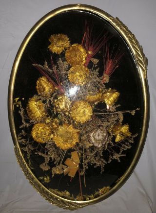 Vintage Dried Flowers Convex Dome Glass Oval Hanging Frame 3d Wall Art 20x14