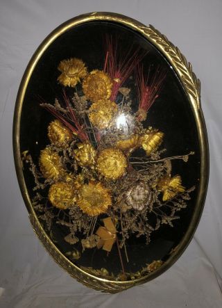 Vintage Dried Flowers Convex Dome Glass Oval Hanging Frame 3D Wall Art 20x14 2