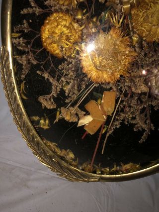 Vintage Dried Flowers Convex Dome Glass Oval Hanging Frame 3D Wall Art 20x14 4