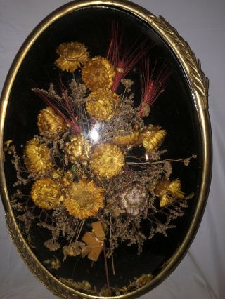 Vintage Dried Flowers Convex Dome Glass Oval Hanging Frame 3D Wall Art 20x14 5