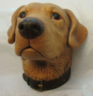 Vintage Bossons England Chalkware Yellow Lab Dogs Of Distinction
