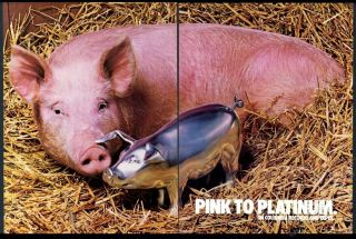 1977 Pink Floyd Animals Album Goes Platinum Pig Photo Big Vintage Trade Print Ad
