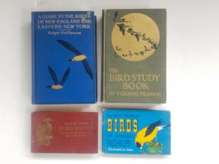 Old Vintage Bird Books Water Guide Study Book England Ny Blue Book Hoffman