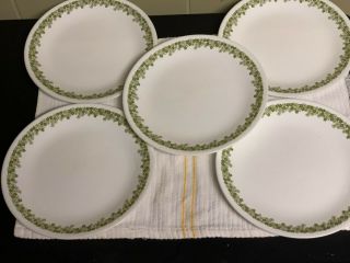 5 - Vintage Corelle Spring Blossom Green Crazy Daisy Lunch Plates 8.  5”