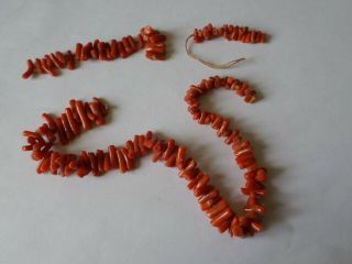 Petite Vintage Natural Coral Necklace For Restringing 14 " 0r 35 Cm - 38.  3 Grams