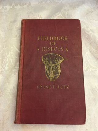 Old Vintage 1930s Insects Putnam Field Guide Bug Book Entomology Nature,  Lutz Pic