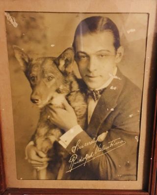 Vintage Framed Photo & Signature Of Actor,  Rudolph Valentino With His Dog