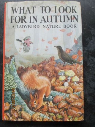 Vintage Ladybird Book What To Look For In Autumn Series 536 2/6 Net Hardback Dj