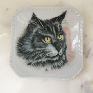 Vintage Cat Ceramic Trinket Dish Jewelry Ring Holder Porcelain Main Coon Japan