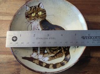 Vintage Chelsea Pottery Cat Bowl Plate Tabby Cat Signed Made In England 5