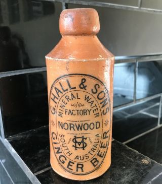 G.  Hall & Sons Norwood Vintage Stone Ginger Beer Bottle