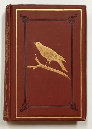 Shuckard.  Chamber And Cage Birds.  London,  Circa 1890.  Canaries.