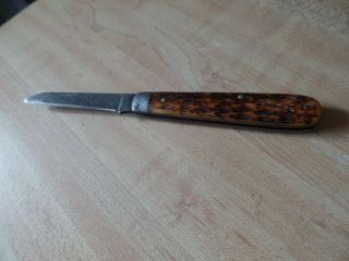 Vintage Schrade Cut Co.  Walden N.  Y.  1917 - 47 Peach Pit Pattern Single Blade Knife