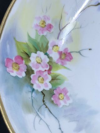 Vintage Nippon Hand Painted Bowl 2 Bluebirds & Pink Flowers Footed 7” 4