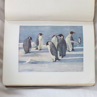 1909 Shackleton The Heart Of The Antarctic Vol 2 South Pole British Expedition