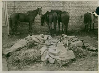 German Soldiers Taking A Nap On The Hays During The First World War.  - Vintage P