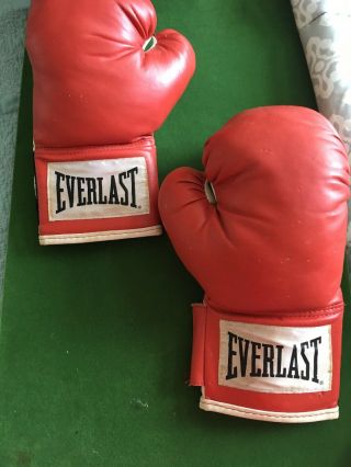 Vintage Everlast Advanced Training Boxing Gloves Adult 12oz Cage Fighting