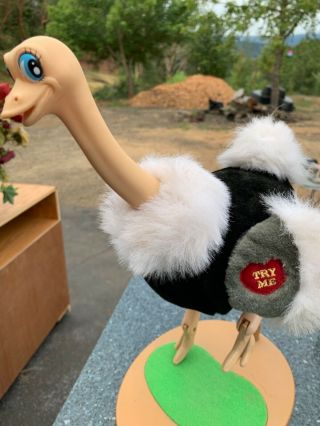 Famous Vintage 2000 Chain Fong Tap Dancing 16 " Ostrich,  Lively Whistled Tune