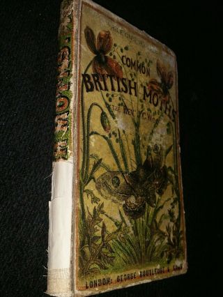 Antique Book - The Common Moths Of England (rev.  J.  G.  Wood -