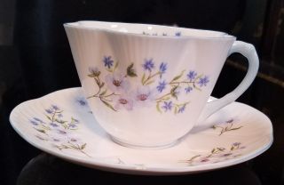 Vintage Shelley England Blue Rock Tea Cup And Saucer Dainty Shaped Blue Trim